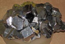 lead magnet