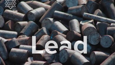 Lead Nurturing