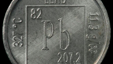 Lead Qualification