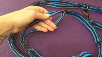 Leads